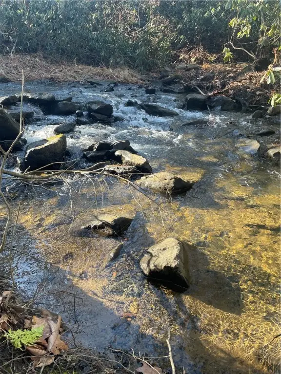 0 Mason Dixon Hwy, Elk Lick, PA 15558 - Image #3