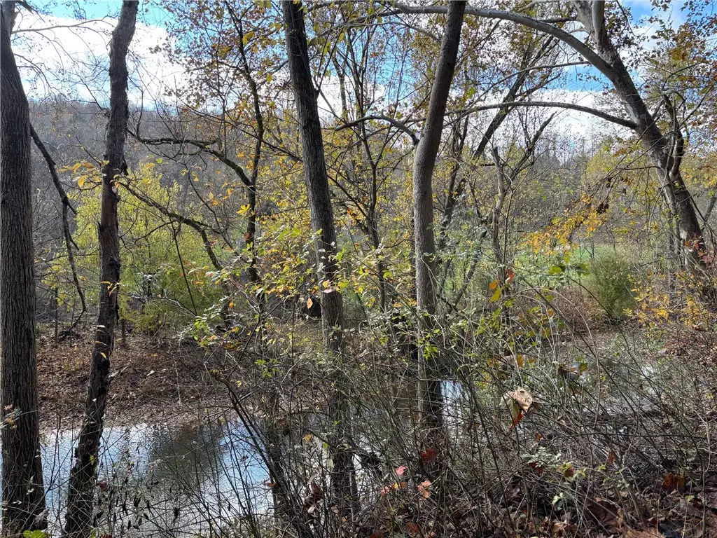 116 New Hill Rd, Grindstone, PA 15442 - Image #1