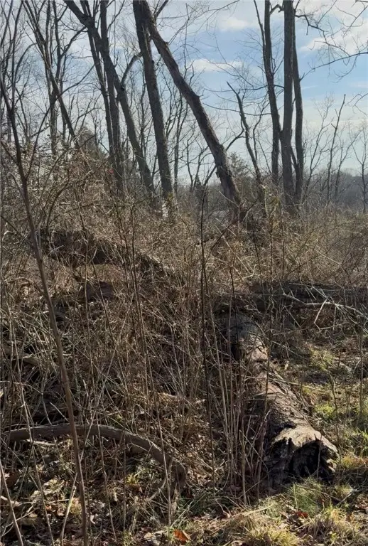 0 Charles Street, Cecil, PA 15321 - Image #1