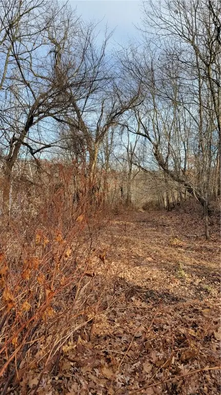 0 Woodland Rd, Harmony, PA 15003 - Image #3