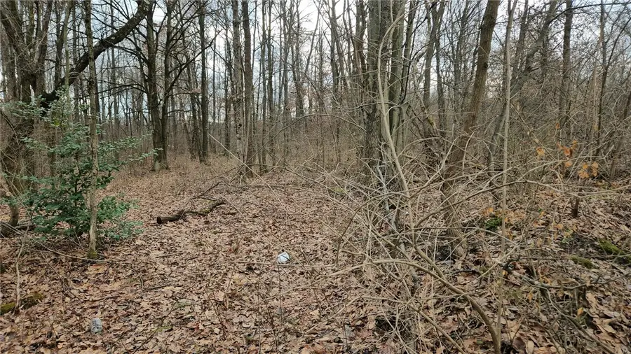 Lot #2 Deshon Rd, New Castle, PA 16101 - Image #2