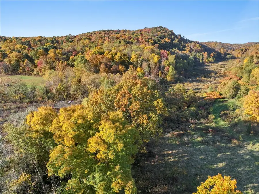 955 Pine Grove Rd, Industry, PA 15009 - Image #3