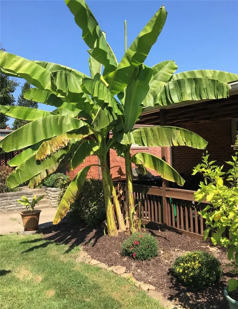 422 Dunbar Dr., Wilkins, PA 15235 - #3