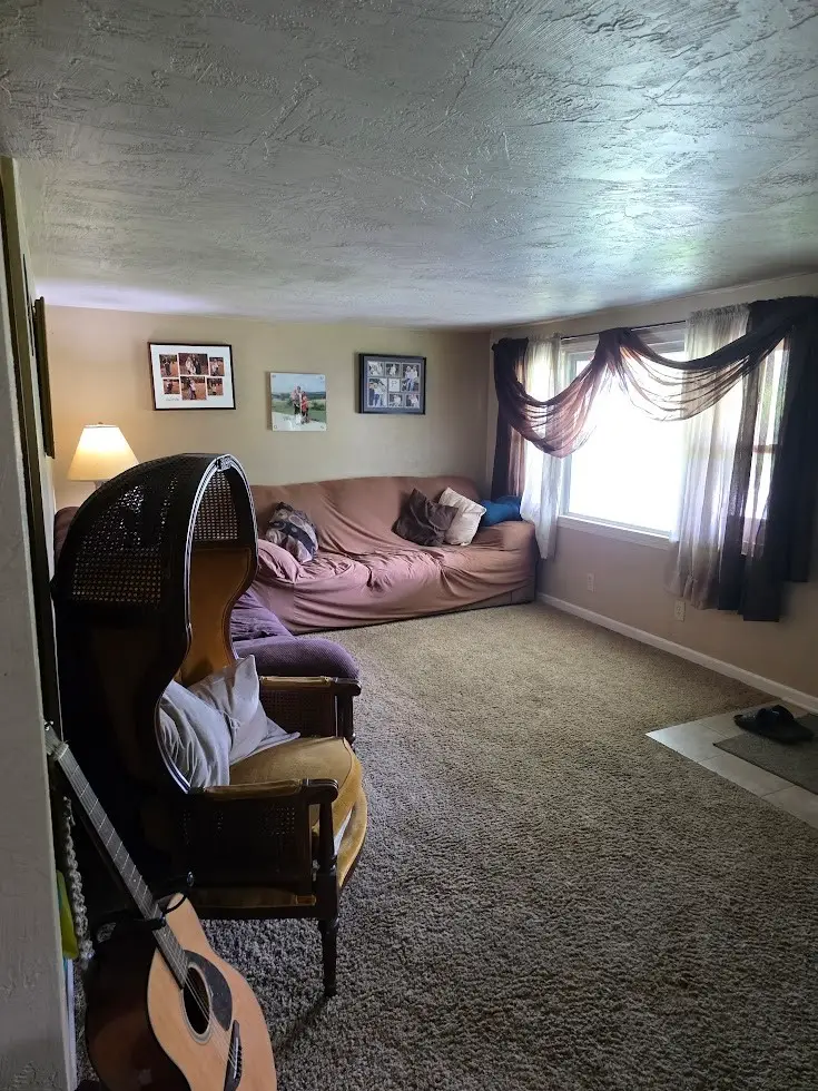 252 Mount Olive Rd, Donegal, PA 15622 - #2