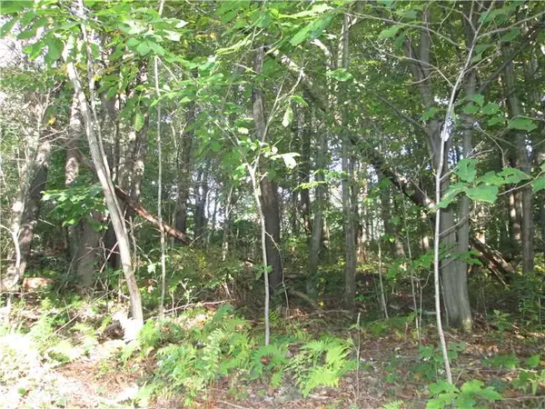 Lot228R Shearsburg Rd, Allegheny Twp, PA 15068