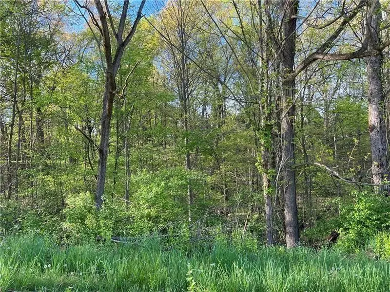 0 Venango Road, Venango, PA 16020 - Image #3