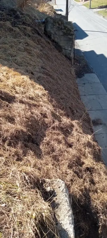 143 Gilbert St, Brownstown, PA 15906 - #2