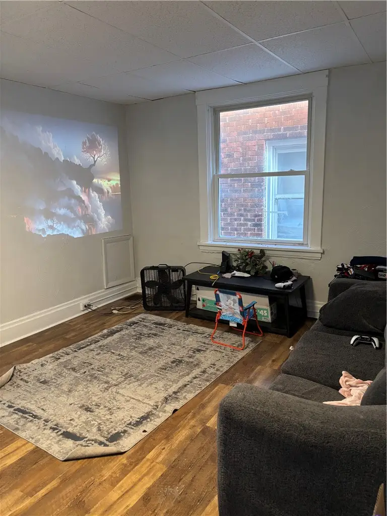 319 Birmingham Avenue, Pittsburgh, PA 15210 - #3