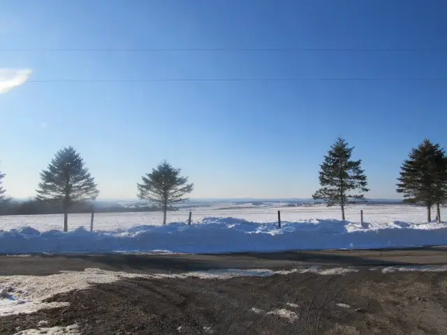 254 Rubright Road, Black, PA 15557 - #2