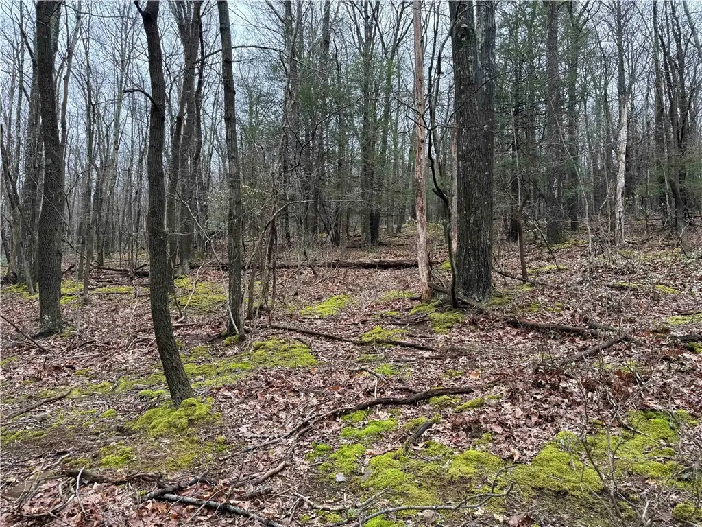 0 Club Rd, Allegheny, PA 15530 - #1