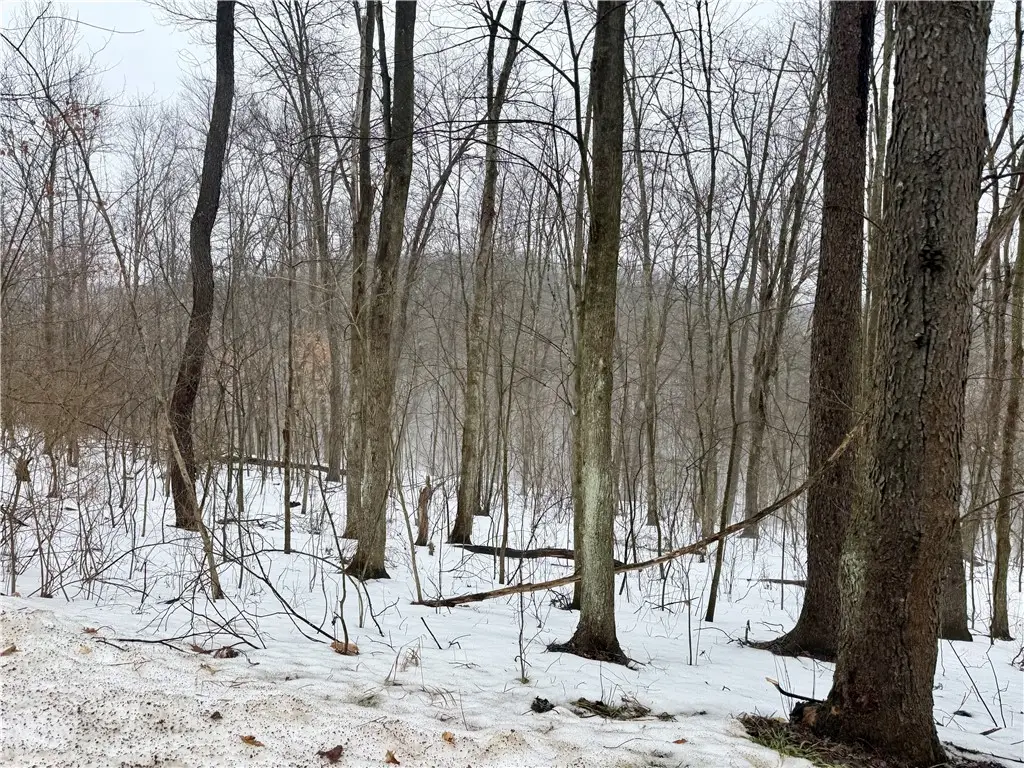 0 Cadogen Slatelick Road, North Buffalo, PA 16201 - #1