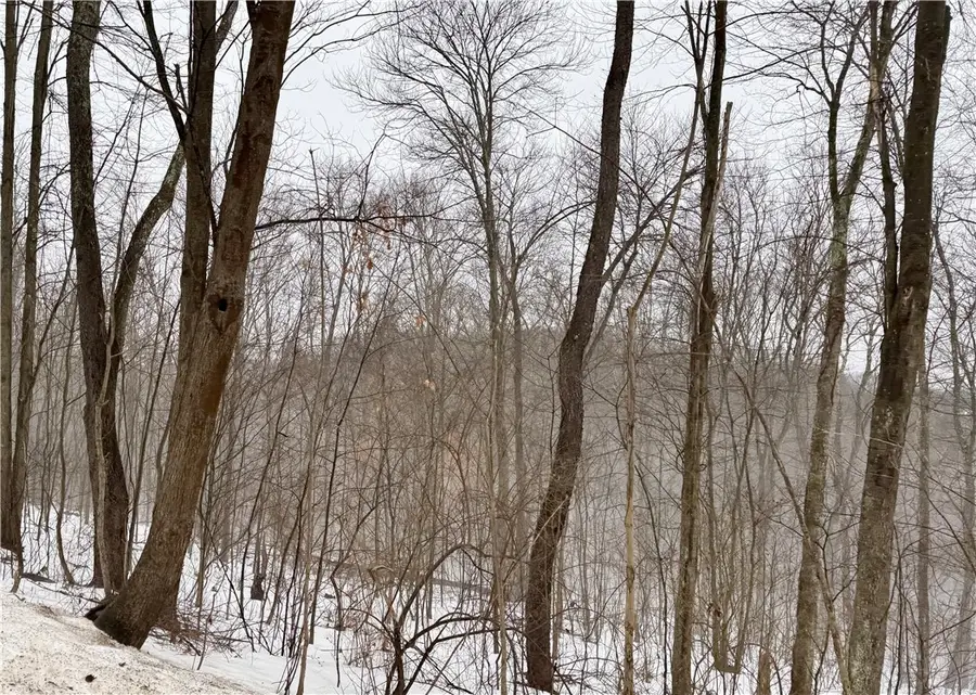 0 Cadogen Slatelick Road, North Buffalo, PA 16201 - #3