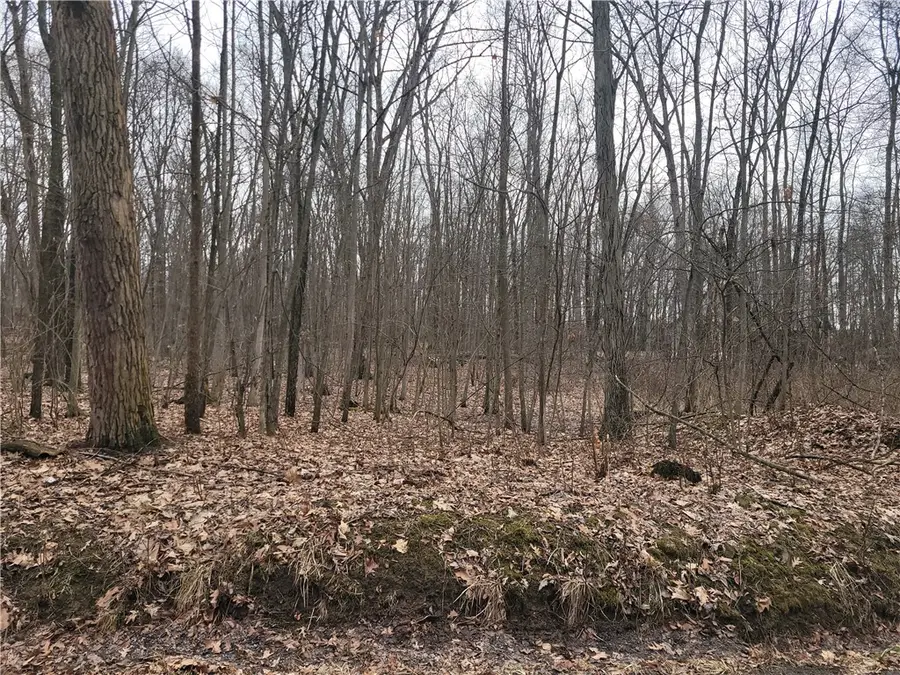 486 Clintonville Rd, Mercer, PA 16137 - #2