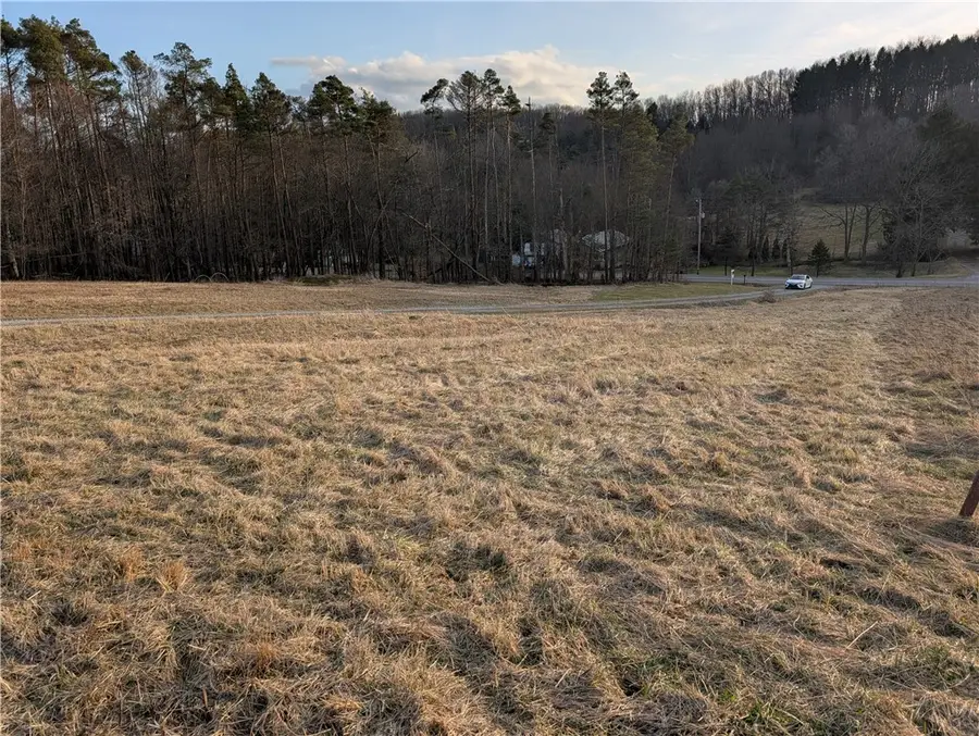 141 Conerty, Chicora, PA 16025 - #3