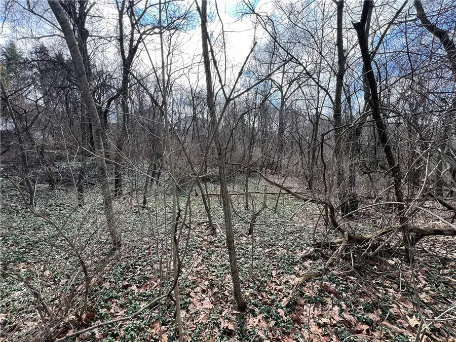 0 Spruce Dr, Monaca, PA 15061 - #2