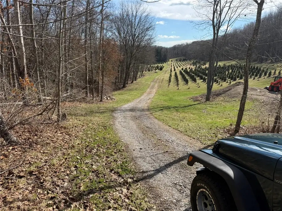 0 Prospect Rd, Evans City, PA 16033 - #2