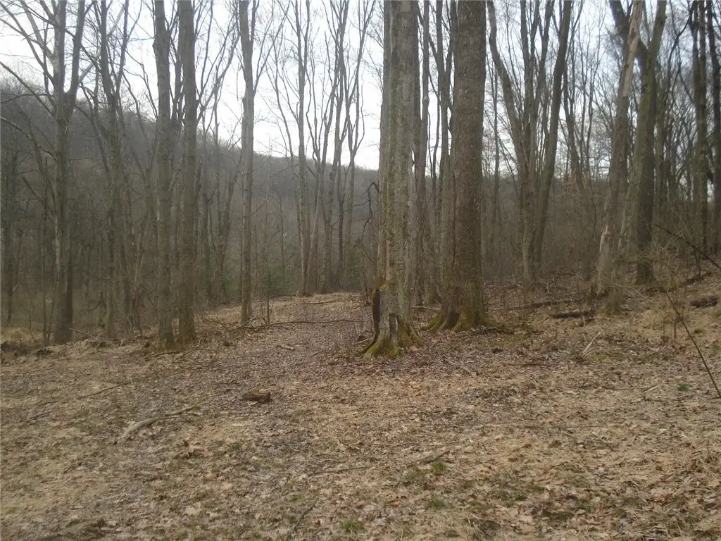 0 Mcdevitt, Sewickley, PA 15143 - #1