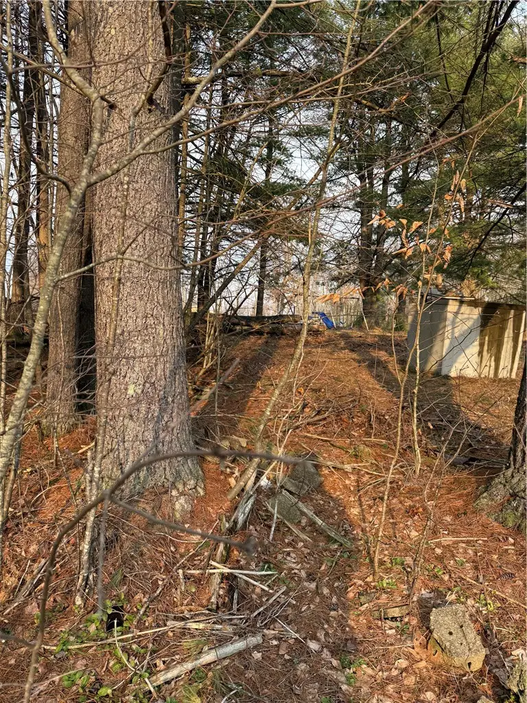 0 Casey Lane, Tionesta, PA 16353 - #3