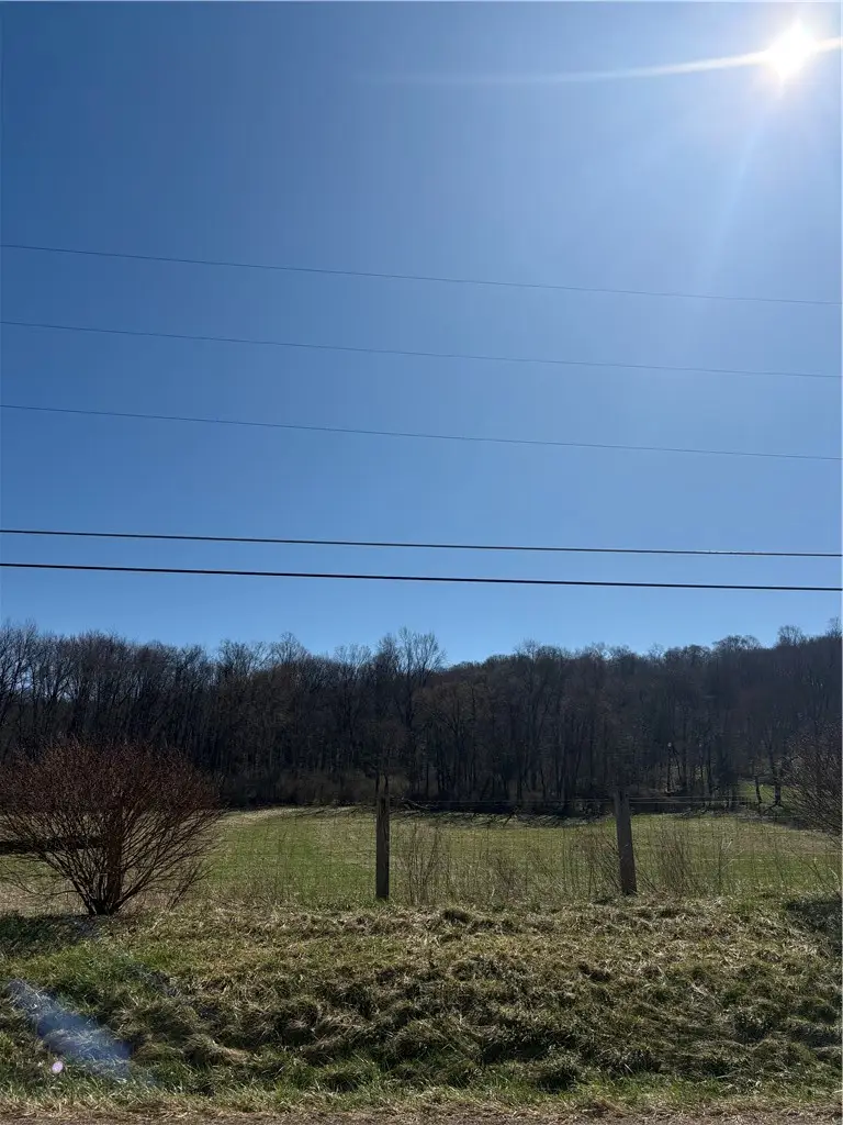 1106 Wampum New Galilee Road, Wampum, PA 16157 - #2