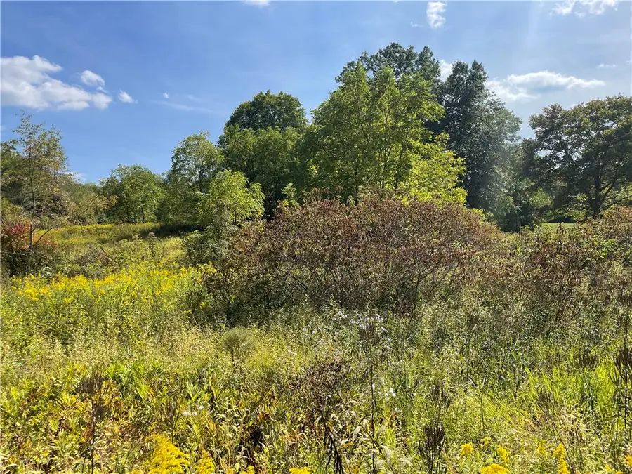 0 Rte 168, Darlington, PA 16115 - #3