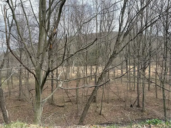 0 Philson Rd, Glencoe, PA 15543