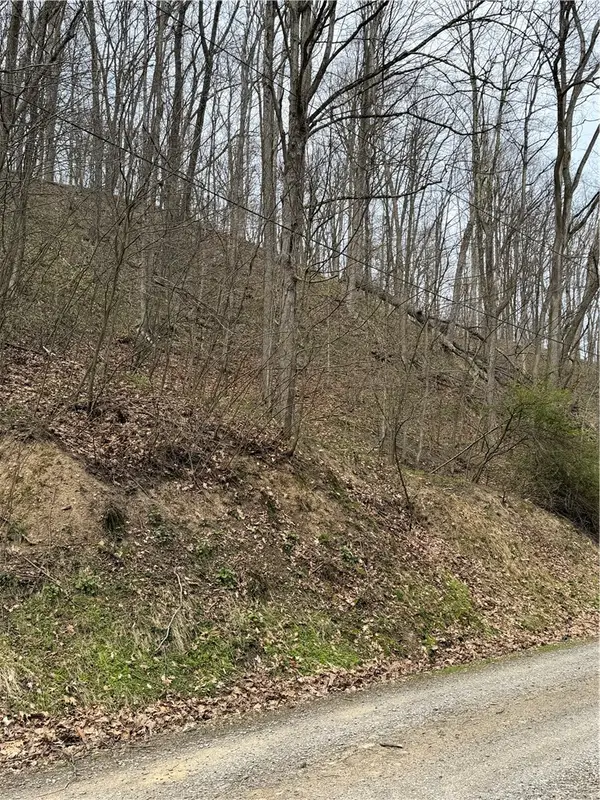 0 Coal Bank Hollow Rd, Ford City, PA 16226