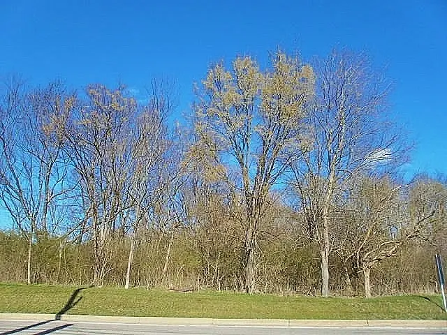 311 Mcmurray Rd, Pittsburgh, PA 15241 - #1