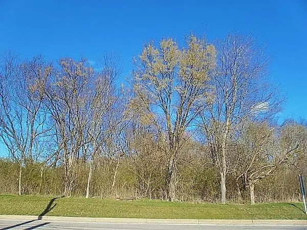 311 Mcmurray Rd, Pittsburgh, PA 15241