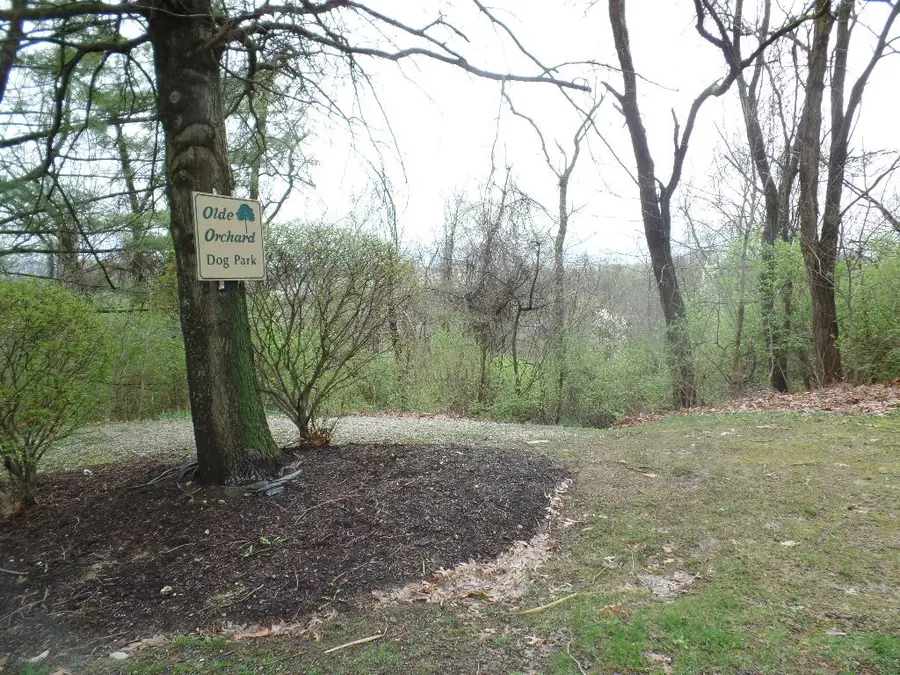 503 Winesap, Bridgeville, PA 15017 - #3