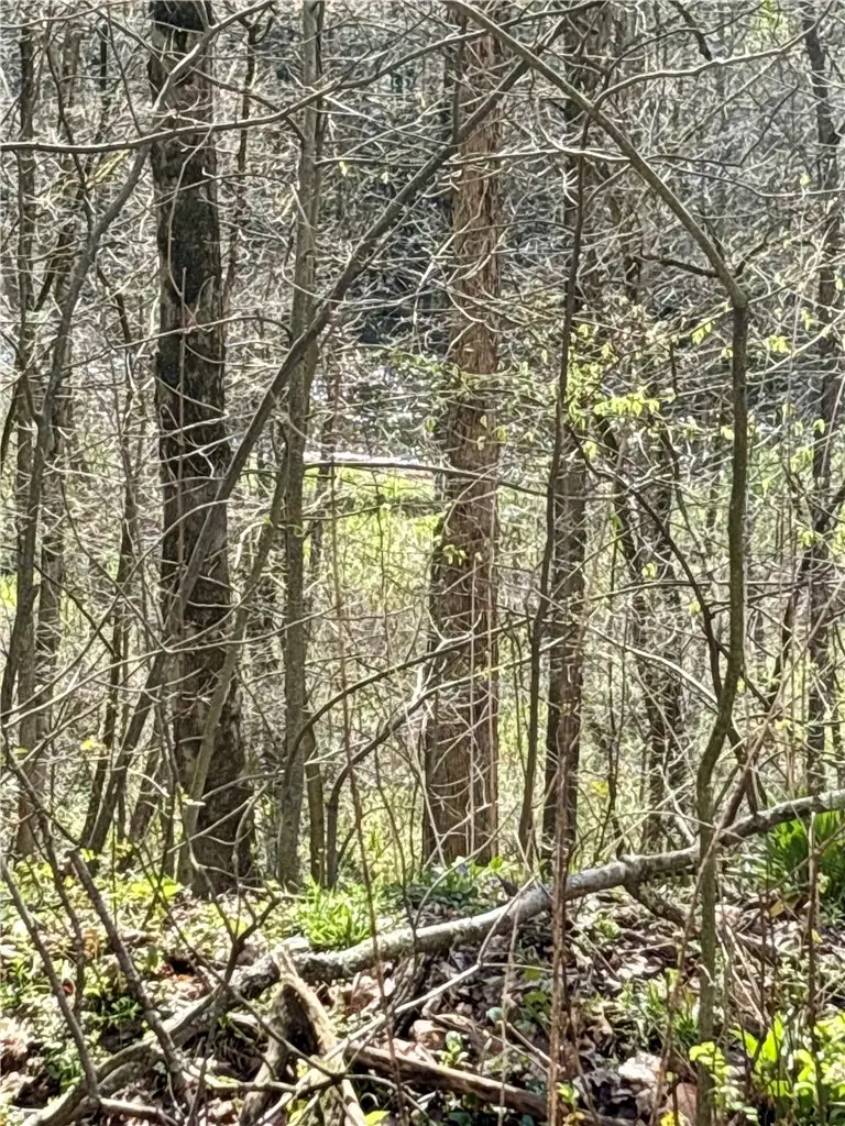 0 Main St, Volant, PA 16156 - #1