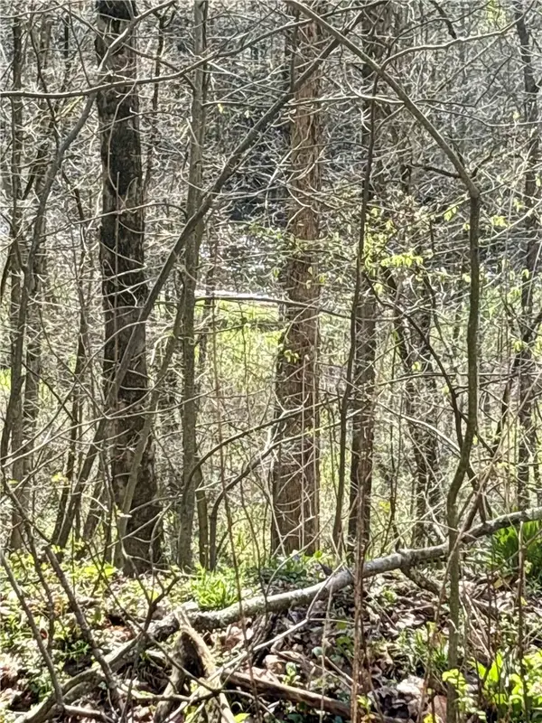 0 Main St, Volant, PA 16156