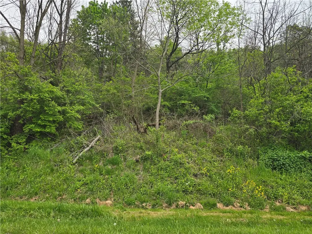 121-122 Bredin Ave, Lyndora, PA 16045 - #1