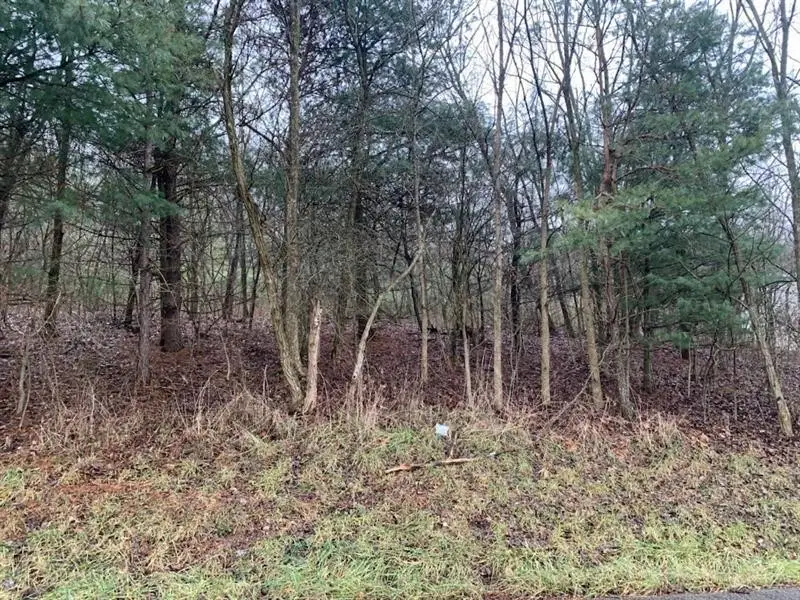 Lot 5 Ringertown Road, Export, PA 15632 - #1