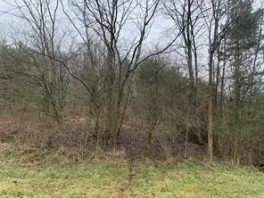 Lot 6 Ringertown Road, Export, PA 15632