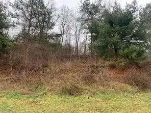 Lot 8 Ringertown Road, Export, PA 15632