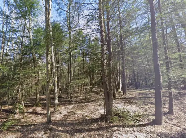 00 Stagers Rd, Summerhill, PA 15958