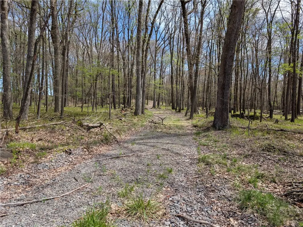 435 Daubenspeck Rd, Parker, PA 16049 - #1