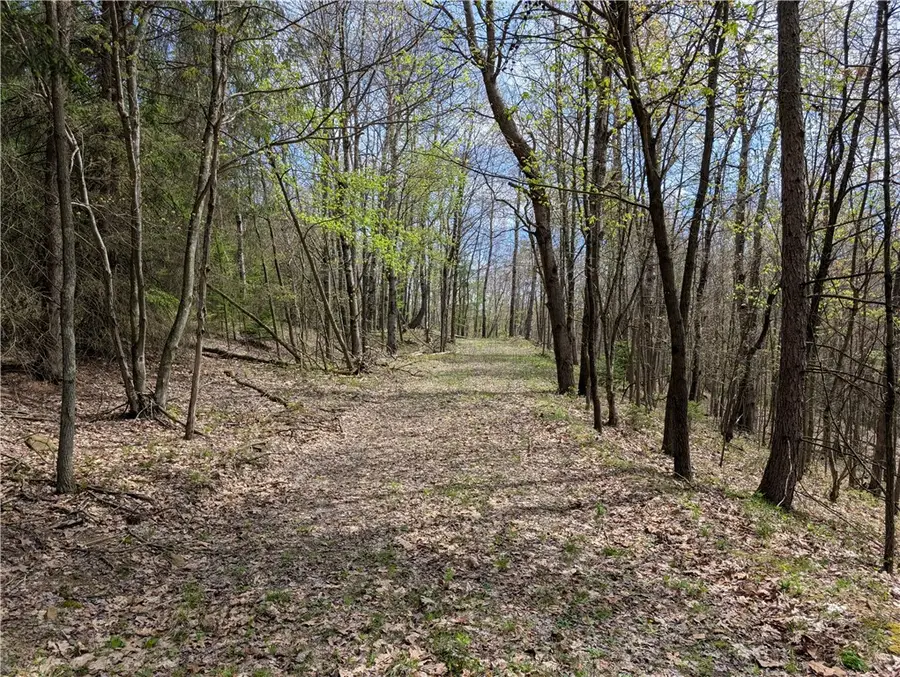 435 Daubenspeck Rd, Parker, PA 16049 - #3
