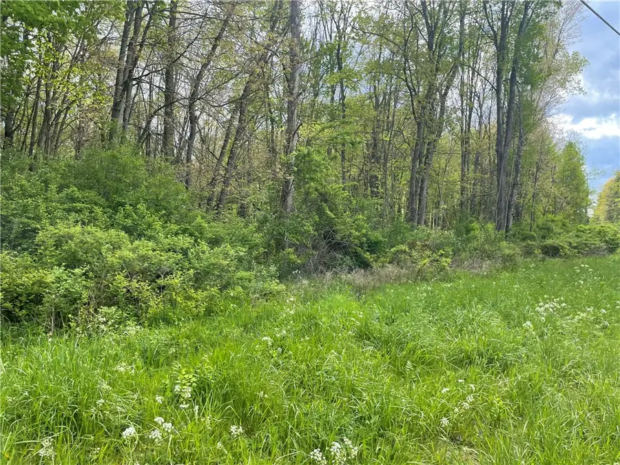 0 Mercer Road, Greenville, PA 16125 - #3