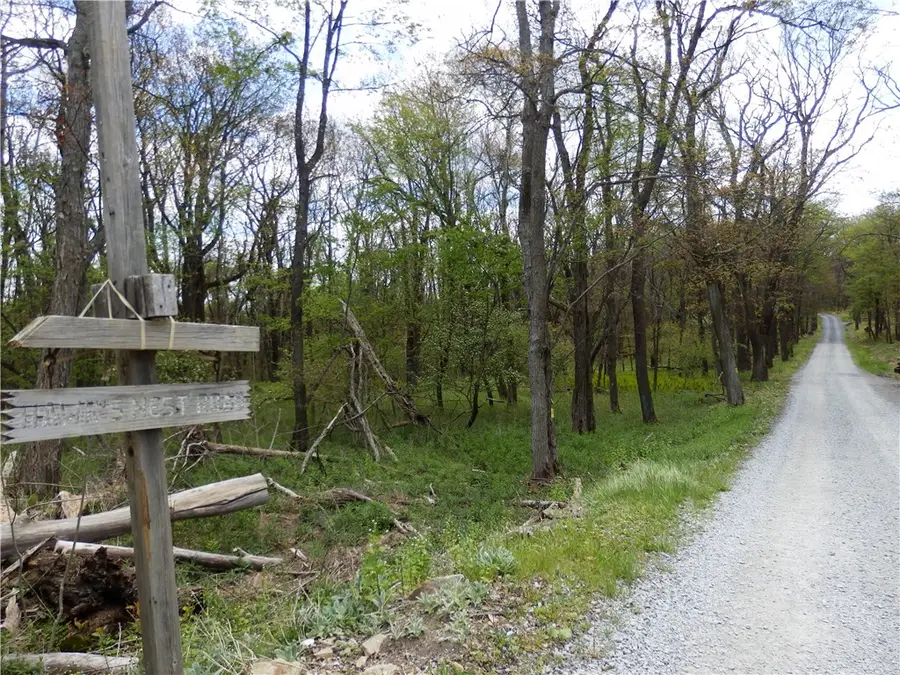 Lot 79 Hawks Nest Rd, Central City, PA 15926 - #2