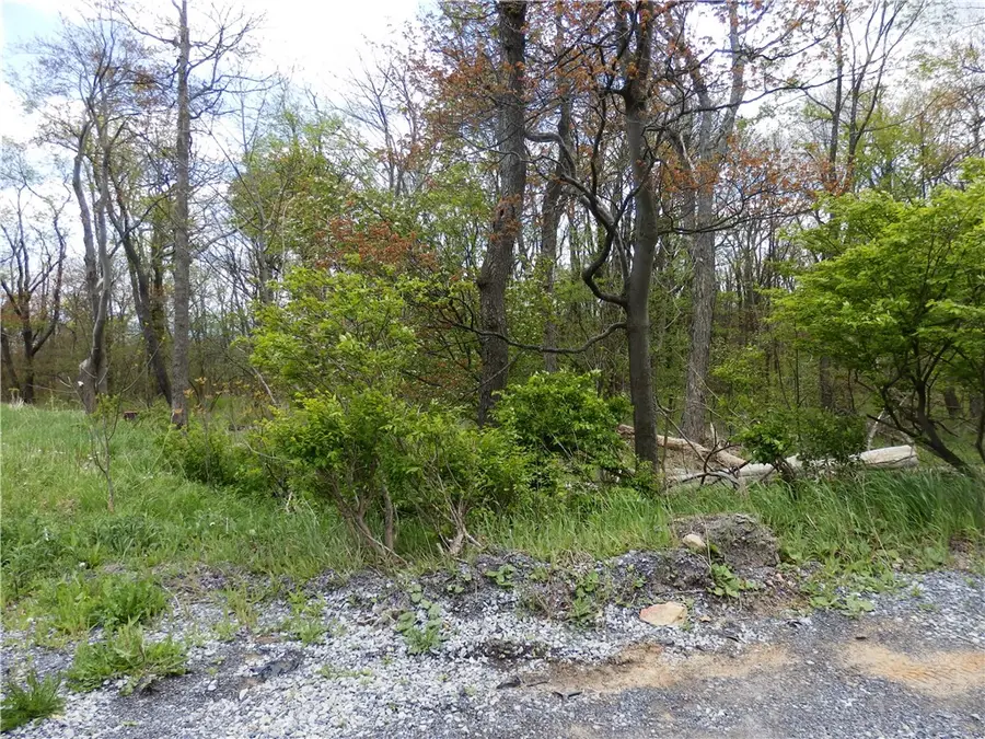 Lot 79 Hawks Nest Rd, Central City, PA 15926 - #3