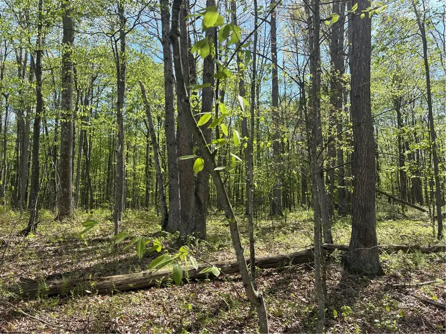 Lot 3 & 4 Killarney Road, Mill Run, PA 15464 - #3