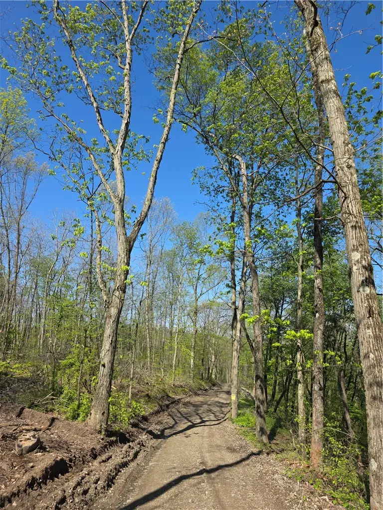 2210 Ramer Rd, Shelocta, PA 15774 - #1
