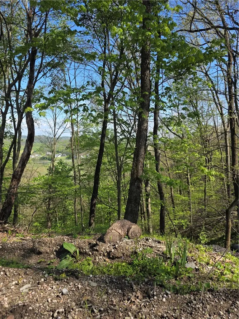 2210 Ramer Rd, Shelocta, PA 15774 - #2