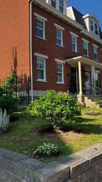 1244 W North Ave, Pittsburgh, PA 15233 - #1