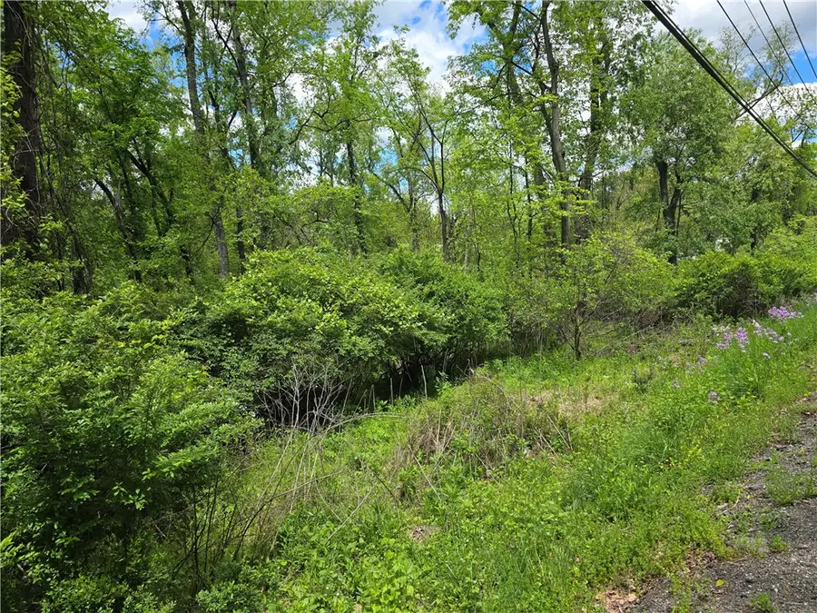 Lot 134 Brokers Lane, Irwin, PA 15642 - #3