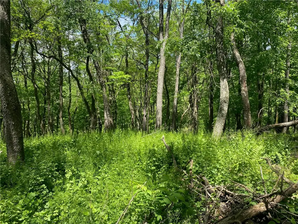 LOT Wexford Bayne Road, Wexford, PA 15090 - #1