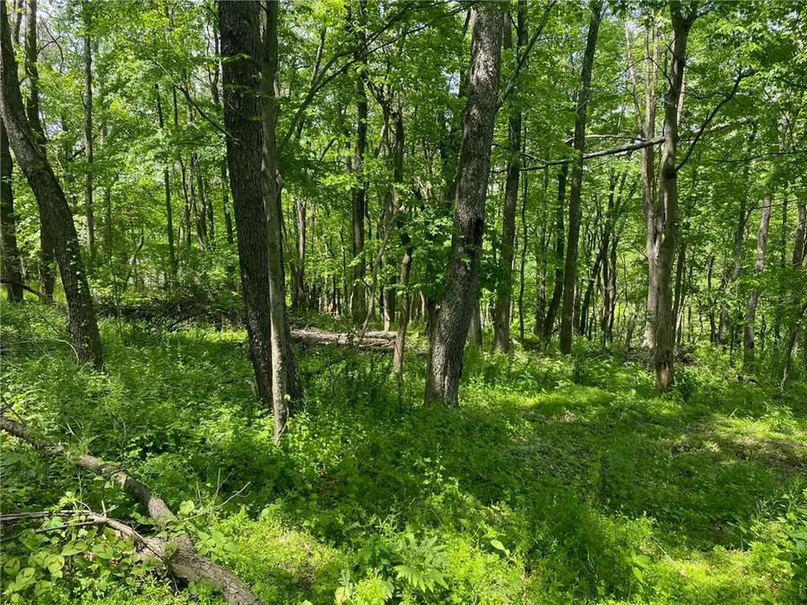 LOT Wexford Bayne Road, Wexford, PA 15090 - #3