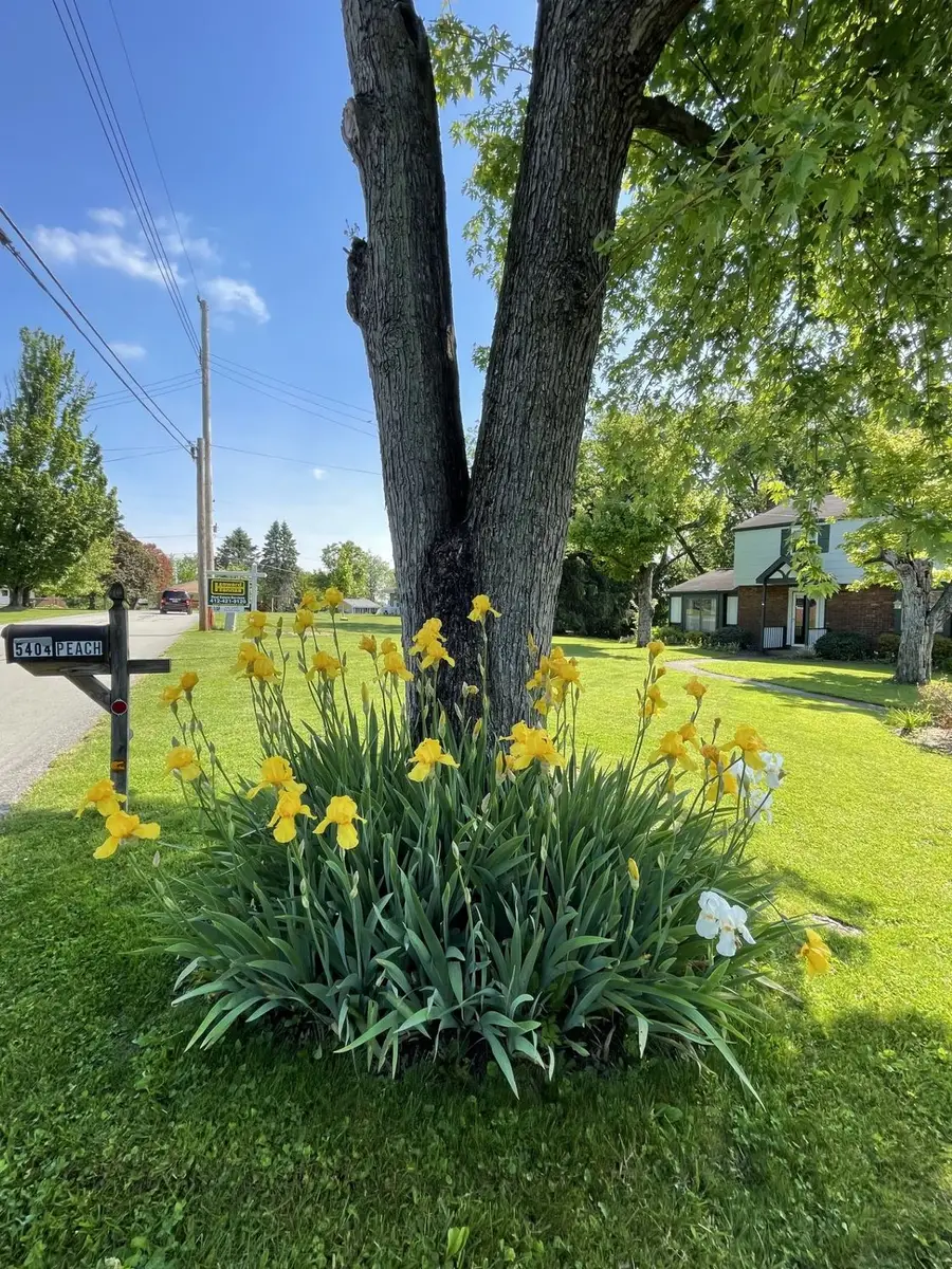 5404 Peach Drive, Gibsonia, PA 15044 - #2