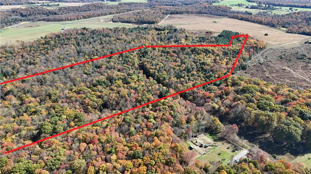 50 Acres Along Bird Lane, Strongstown, PA 15957 - #1